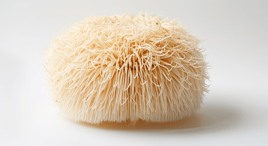 Lion's Mane and Coffee: Why This Combination Is Changing How Australians Focus